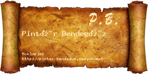Pintér Bendegúz névjegykártya